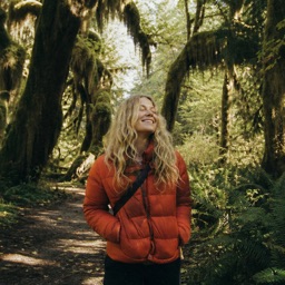 Mossy forest