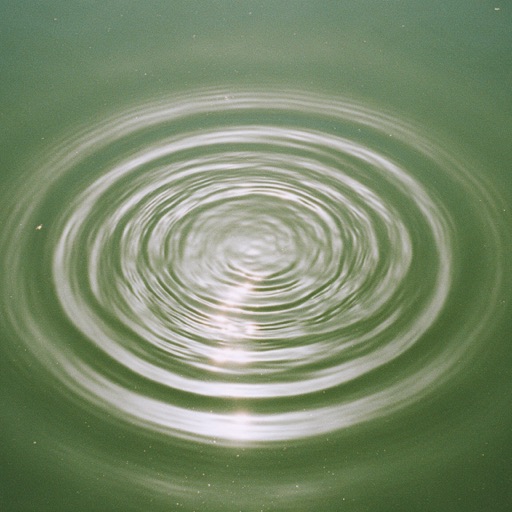 Cover of Drift Index: pale ripples on moss-green water